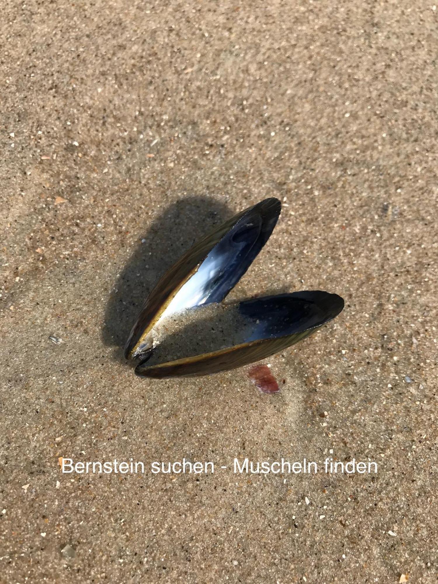 Apartmán Eschen'S Blick Aurich Exteriér fotografie